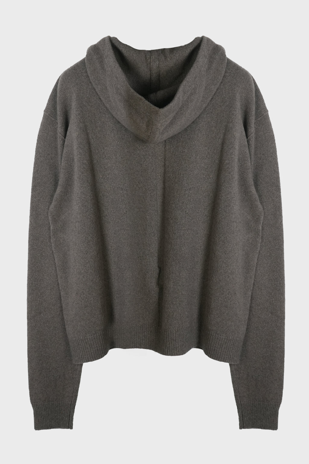 ZIPPED HOODIE DUST