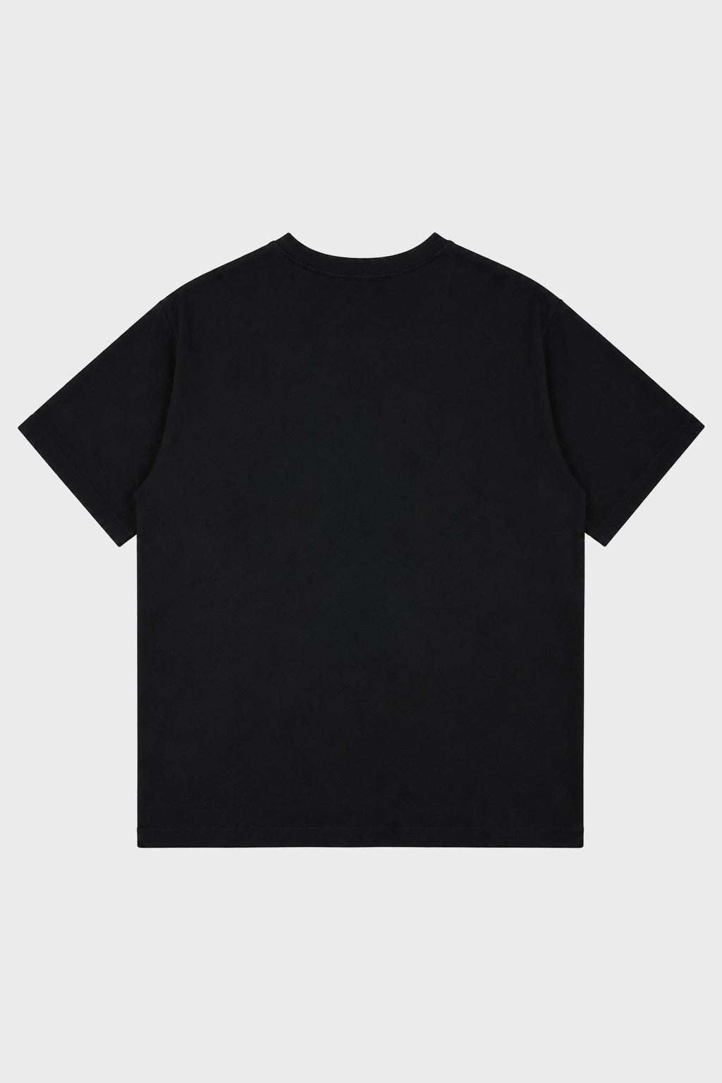 ROUND NECK SHORT SLV/ PT