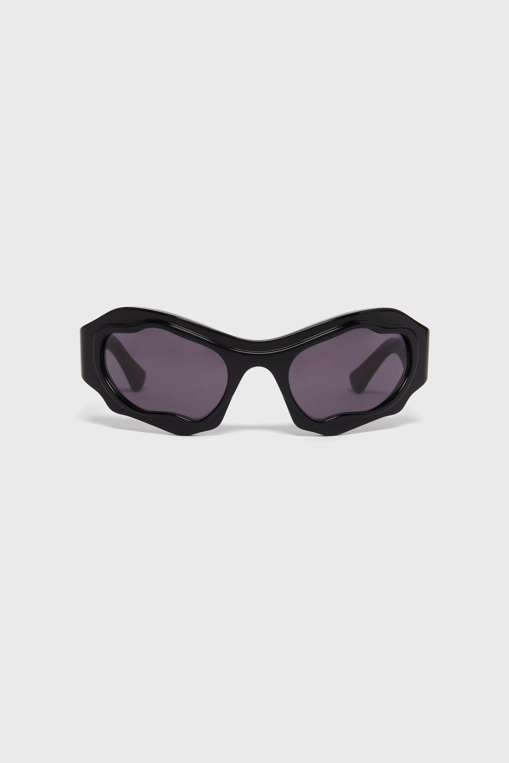 E22 BS | BLACK SHINE SUNGLASSES