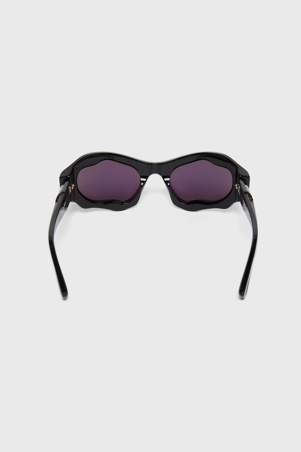 E22 BS | BLACK SHINE SUNGLASSES