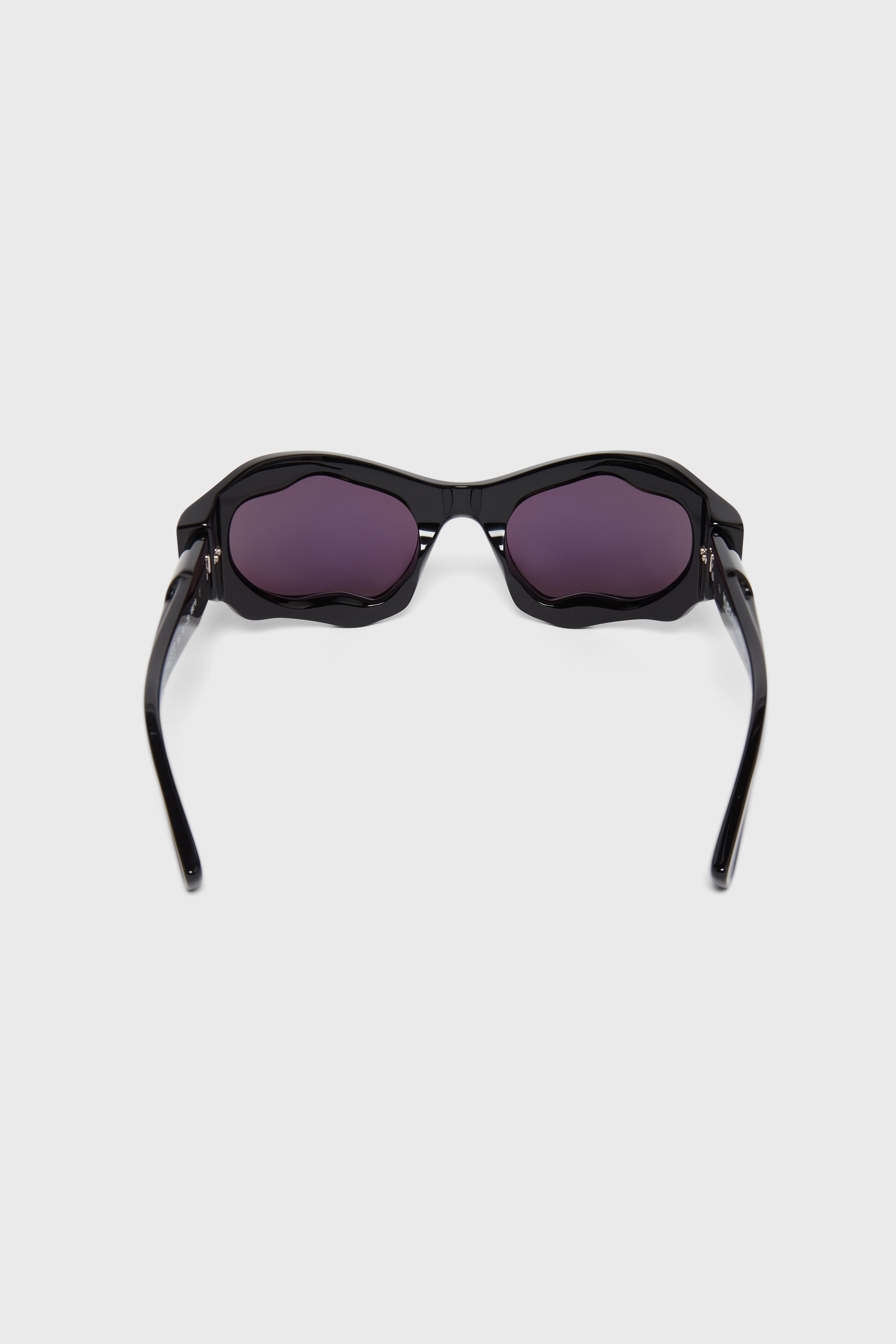 E22 BS | BLACK SHINE SUNGLASSES