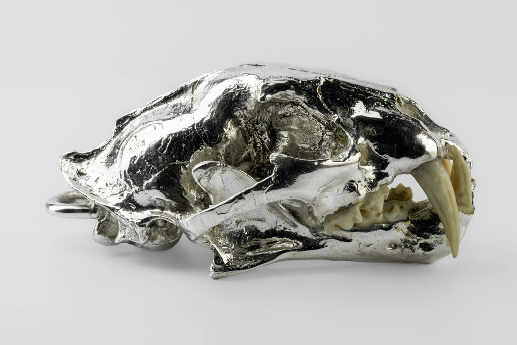 Leopard Skull (CR+MB)